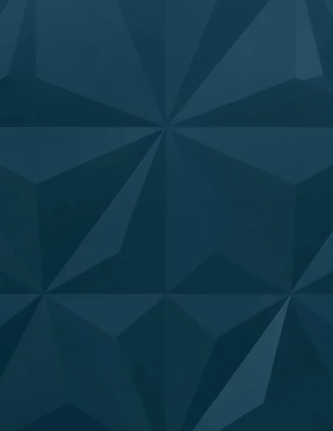 Collection Relief Sculpte